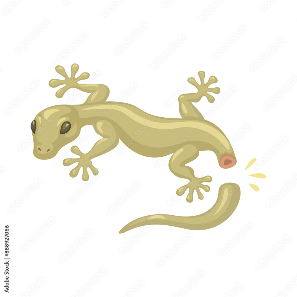 Fototapeta premium Lizard Drop its tail to Defense Mechanism Cartoon Illustration Vector