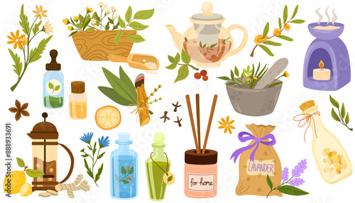 Homeopathy, aromatherapy, natural traditional medicine set. Herbs, herbal tea, homeopathic naturopathic essentials, healing plants. Flat graphic vector illustrations isolated on white background