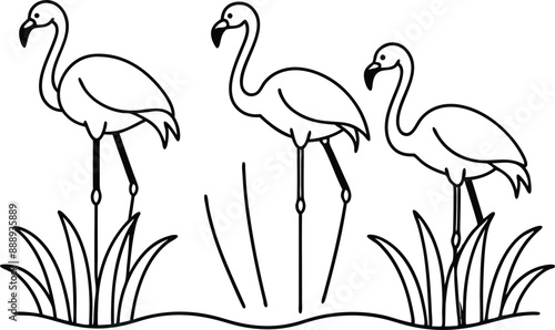 flamingos group standing in a wetland line art vector illustration, tropical bird flamingo line drawing	
