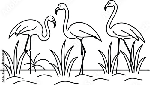 flamingos group standing in a wetland line art vector illustration, tropical bird flamingo line drawing	
