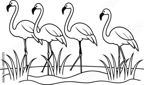 flamingos group standing in a wetland line art vector illustration, tropical bird flamingo line drawing	
