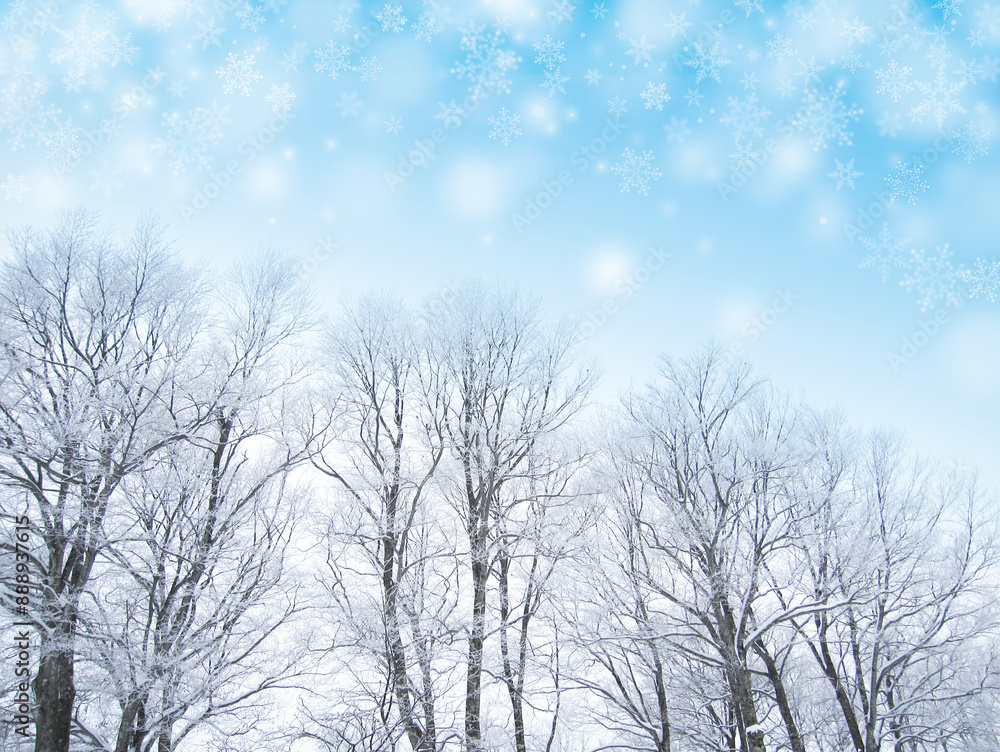 きれいな雪降る冬の林 きれいな雪降る冬の林