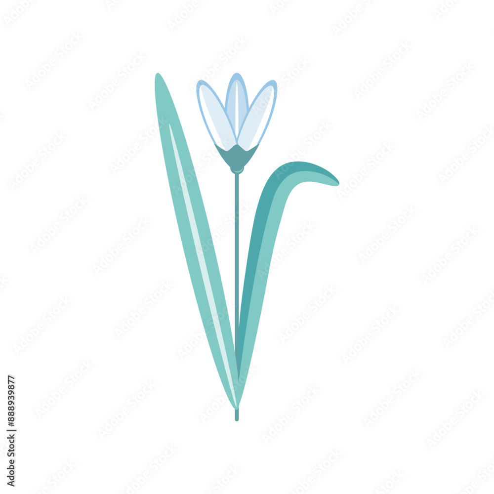 Vector illustration of a flower. The first spring flower, snowdrop, forest flower. Isolated on white background. Vector illustration of a flower. The first spring flower, snowdrop, forest flower. Isolated on white background.