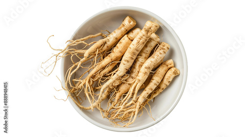 Wallpaper Mural Ginseng and ginseng root are celebrated for their numerous health benefits. This image showcases raw ginseng roots isolated on a transparent background Torontodigital.ca