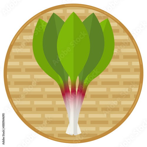 ざるに乗った行者にんにくのベクターイラスト。