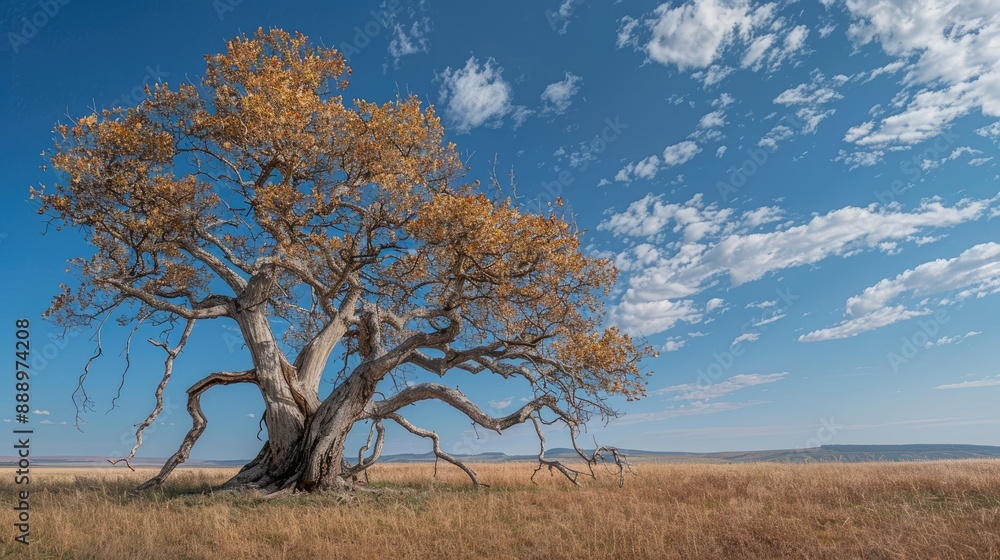 An intertwined tree with multiple trunks stands prominently adorned with dry leaves in the foreground Against a backdrop of blue skies and open fields it exudes a sense of resilience An intertwined tree with multiple trunks stands prominently adorned with dry leaves in the foreground Against a backdrop of blue skies and open fields it exudes a sense of resilience