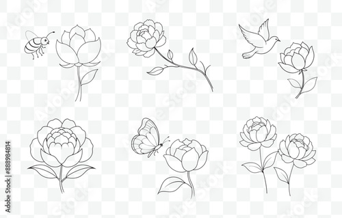 Print Peony Line Art Vector Set Elegant Floral Illustrations for Design and Decoration Projects