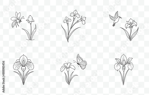 Print Exquisite Iris Line Art Vector Set for Designers Illustrators and Artists