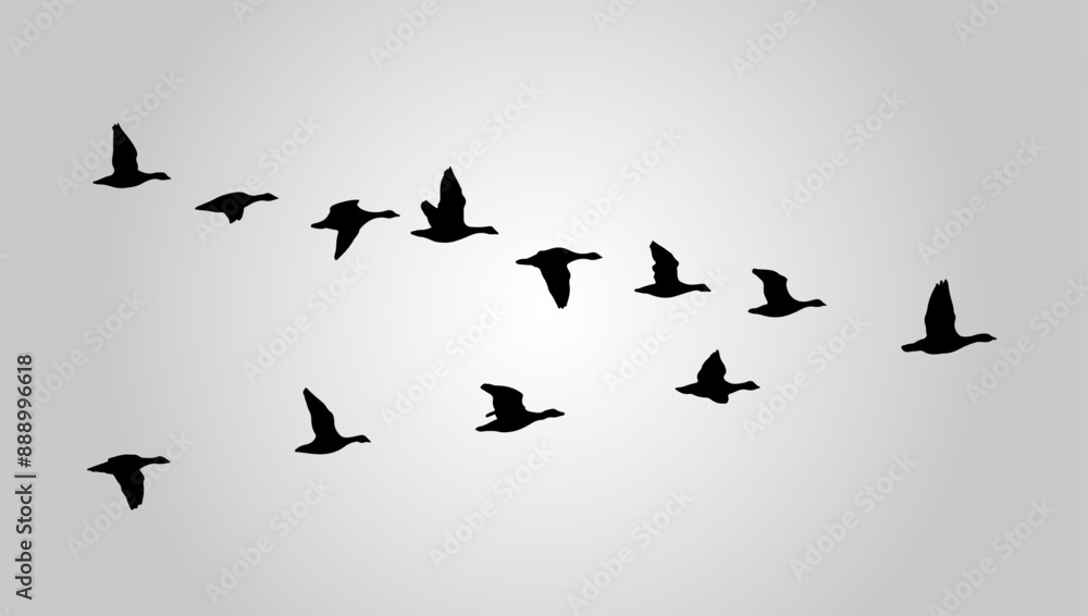 Silhouette of Flying Birds Flock Vector Illustration. Suitable for Wall art, posters, t-shirts, home decor, Greeting cards, wedding invitations, stationery, and apparel Silhouette of Flying Birds Flock Vector Illustration. Suitable for Wall art, posters, t-shirts, home decor, Greeting cards, wedding invitations, stationery, and apparel