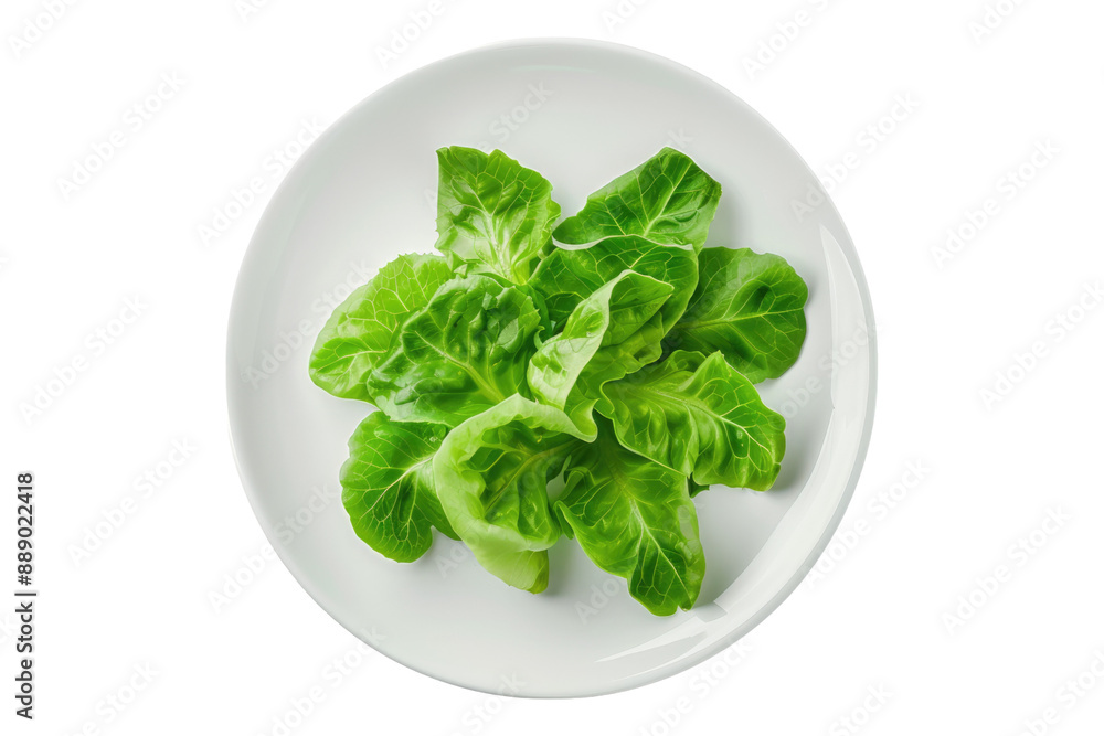 Lettuce on white plate isolated on transparent background Lettuce on white plate isolated on transparent background
