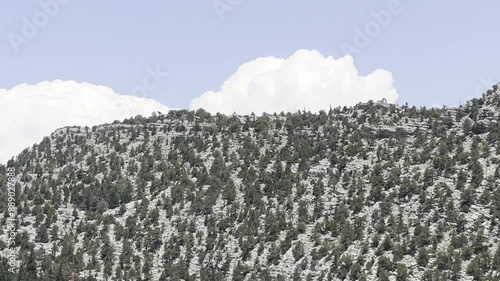 wonderful view on the magnificent mountain where juniper, spruce and aspen grow photo