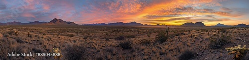 Arizona Desert Sunset With Saguaro Cacti and Mountain Views