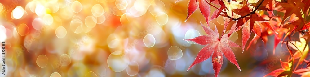Beautiful Yellow, Red, and Orange Leaves in Autumn Park with Fallen Leaves Setting. October Autumn Atmosphere Captured in an Artistic Design Mockup Template for 4K High-Resolution Wallpaper, AI-Genera Beautiful Yellow, Red, and Orange Leaves in Autumn Park with Fallen Leaves Setting. October Autumn Atmosphere Captured in an Artistic Design Mockup Template for 4K High-Resolution Wallpaper, AI-Genera