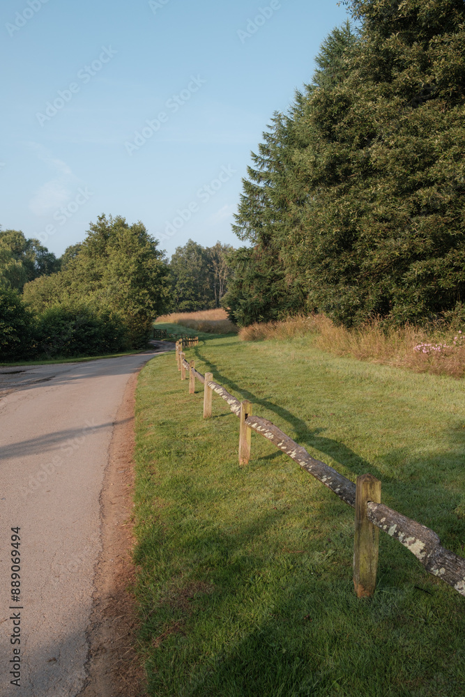 Fototapeta premium Benbow ponds, Midhurst, West Sussex