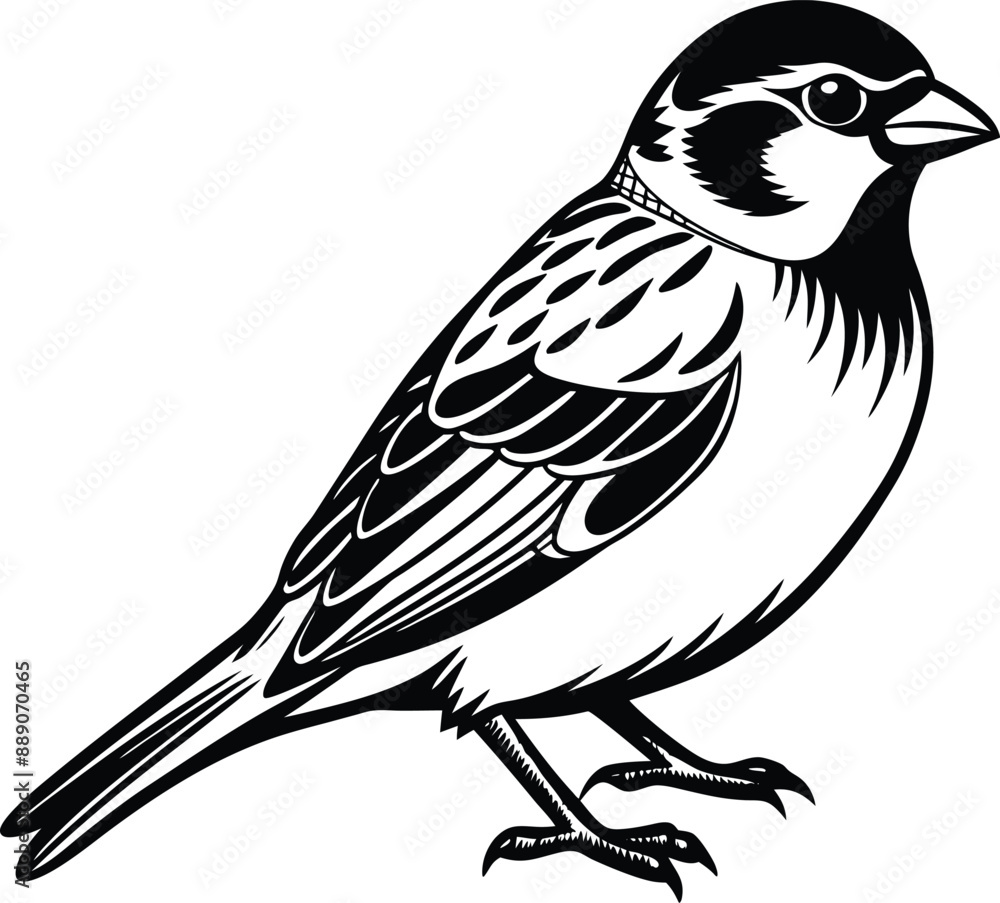 Obraz premium Black and white sparrow silhouette