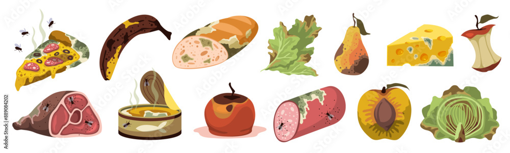 Spoiled products. Expired food, rotting semi finished meal, moldy smell fruits and vegetables, natural fermentation process. Organic recyclable garbage, cartoon flat isolated tidy vector set Spoiled products. Expired food, rotting semi finished meal, moldy smell fruits and vegetables, natural fermentation process. Organic recyclable garbage, cartoon flat isolated tidy vector set