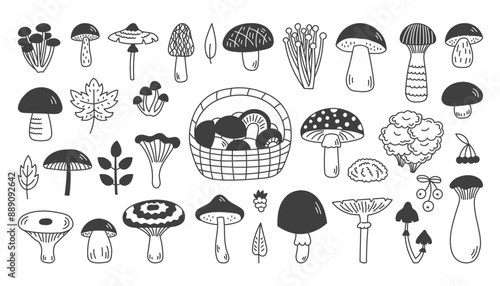 Forest Mushrooms Doodle Icons Set. Hand drawn fungus line symbols clipart. Autumn Fall Fantasy Design elements in cartoon sketch style. Isolated vector illustration