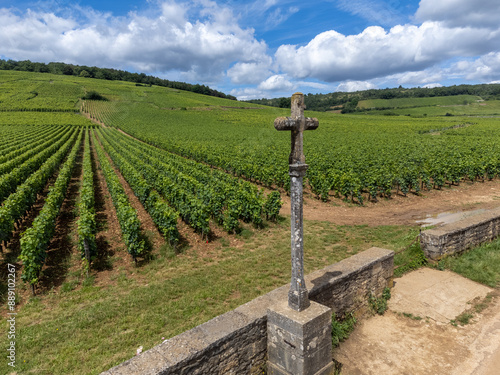 Green grand cru and premier cru vineyards with cross and rows of pinot noir grapes plants in Cote de nuits, making of famous red and white Burgundy wine in Burgundy region, Vosne-Romanee village photo