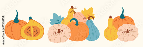 Autumn vegetables pumpkin composition set