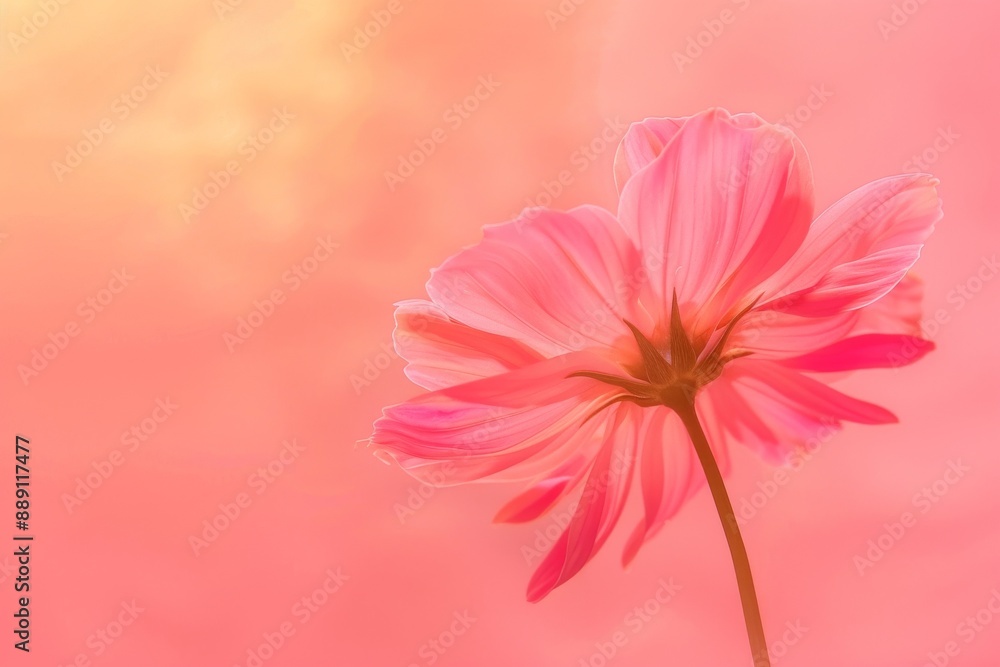 close-up of gladiolus flowers. Selective focus. Beautiful simple AI generated image in 4K, unique. close-up of gladiolus flowers. Selective focus. Beautiful simple AI generated image in 4K, unique.