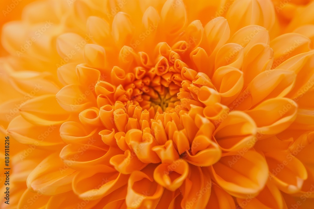 Close-up of a pink magnolia flower. Beautiful simple AI generated image in 4K, unique.