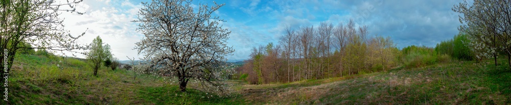 Panorama of the spring forest near the mountain town. Picturesque landscape of a sunny day. Panorama of the spring forest near the mountain town. Picturesque landscape of a sunny day.