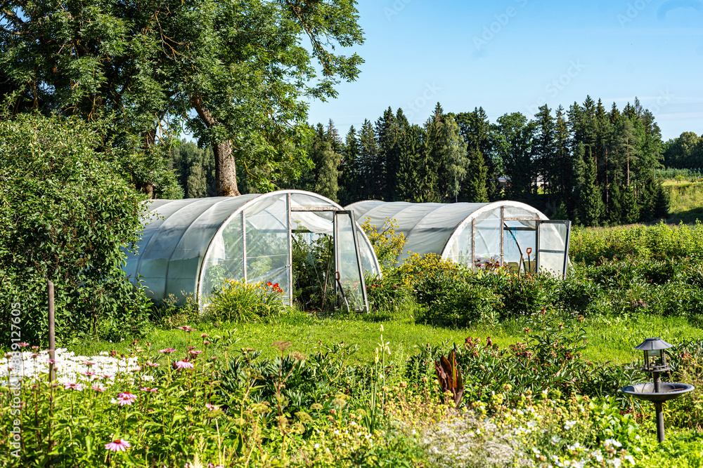 view of two film greenhouses, gardener's concept, greenhouses in the field view of two film greenhouses, gardener's concept, greenhouses in the field