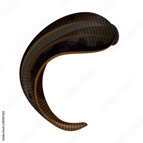A single brown leech in a curved position