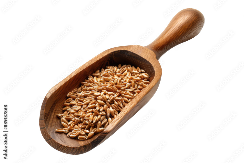 Wheat grains in wooden scoop isolated on transparent background Wheat grains in wooden scoop isolated on transparent background