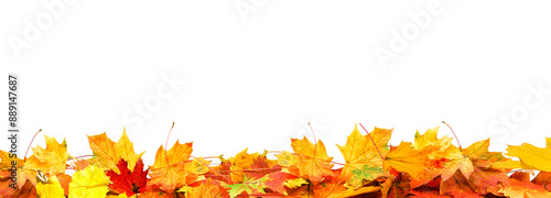 frame of colorful autumn leaves isolated on white background