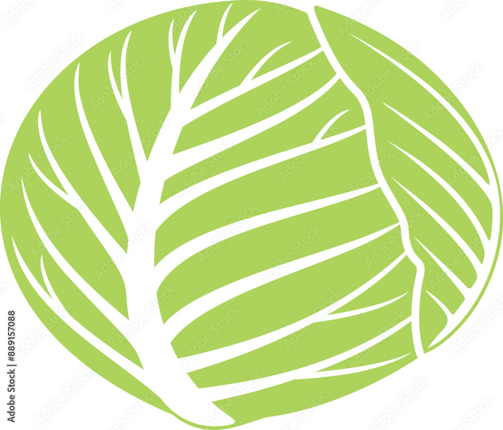 Cabbage logo. Isolated cabbage on white background Cabbage logo. Isolated cabbage on white background