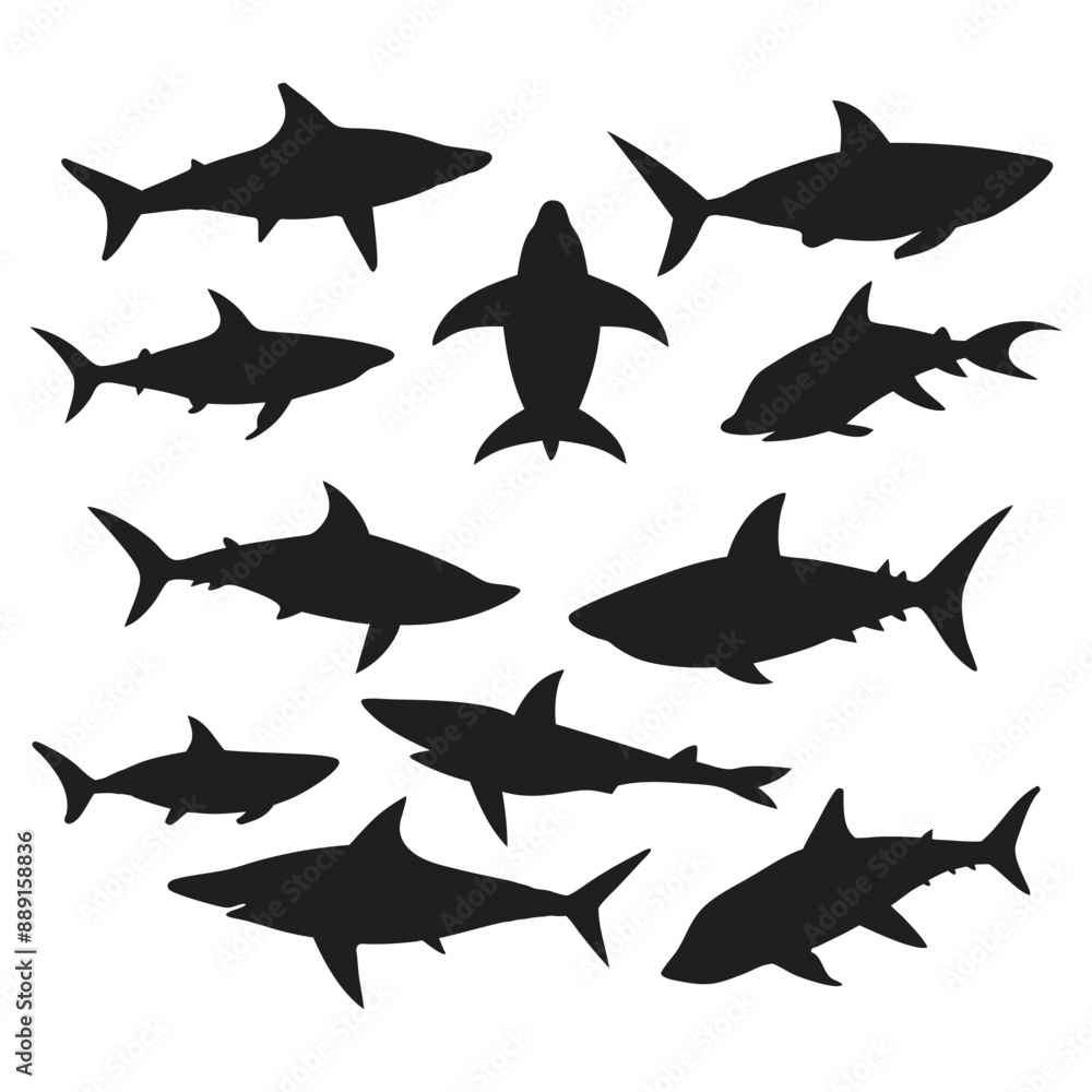 Shark silhouette vector illustration, various species of sharks, great white, hammerhead, bull shark, tiger shark, ocean predators, sea life, marine biology, underwater, fish, dangerous, carnivore Shark silhouette vector illustration, various species of sharks, great white, hammerhead, bull shark, tiger shark, ocean predators, sea life, marine biology, underwater, fish, dangerous, carnivore