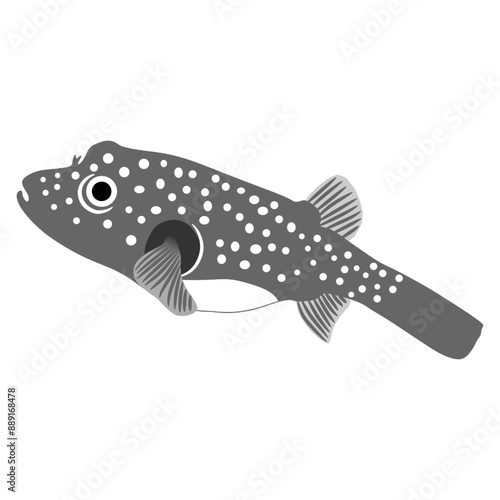 puffer fish illustrations on white backgroun