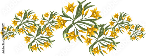 Group of lilies bushes top view for the landscape design plan. Entourage design. Vector illustration.
