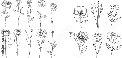 Flowers - roses, peonies - drawn with a single continuous line.