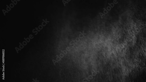 Natural Organic Dust Particles Floating On Black Background