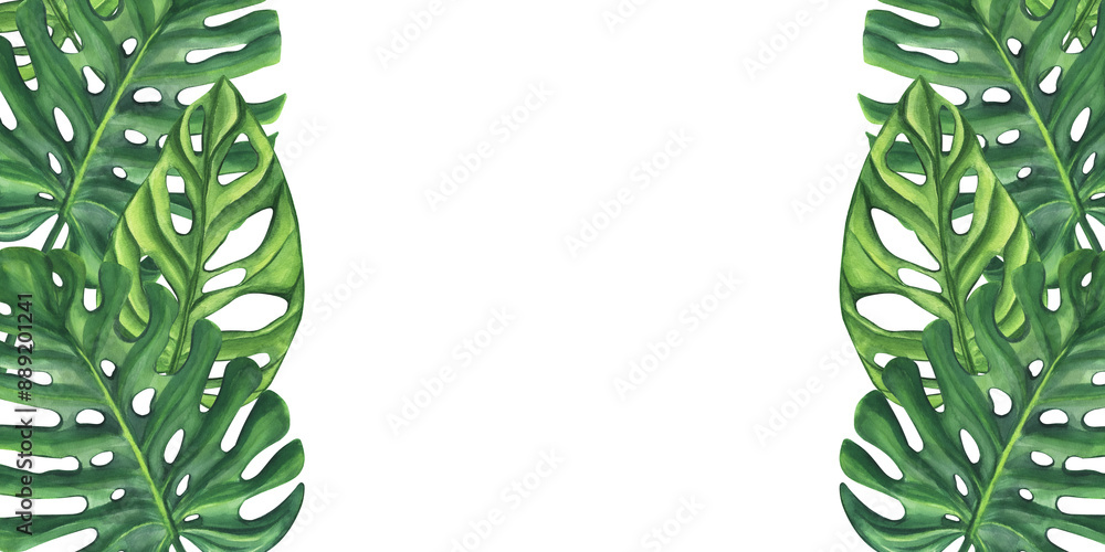 Obraz premium Green palm leaves banner frame. Monstera Likuala Jungle tropical exotic foliage. Botanical clipart. Vegan dietary food painting. Hand drawn watercolor illustration background. Template space for text