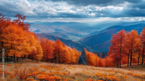 A breathtaking view of a mountain landscape in autumn, with vibrant orange and red trees under a dramatic, cloudy sky. © PStyle