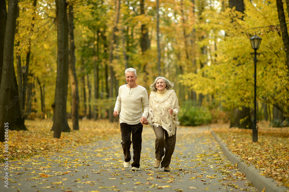 Mature couple walking in the autumn park Mature couple walking in the autumn park