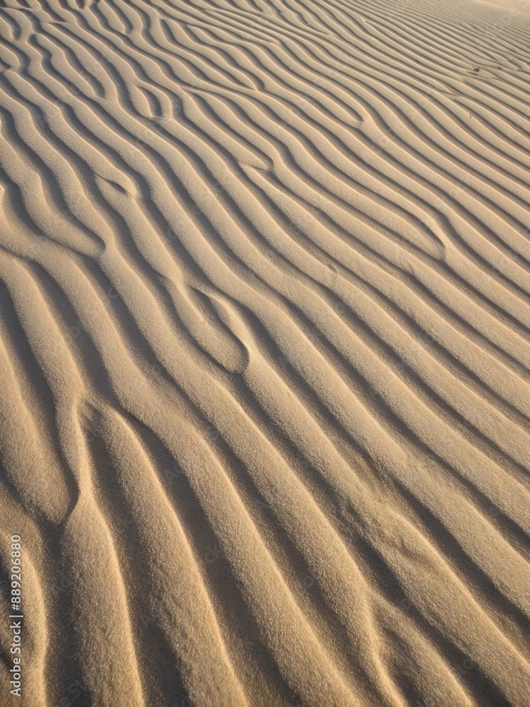 Sand ripples on the beach in the evening light. Abstract background Sand ripples on the beach in the evening light. Abstract background