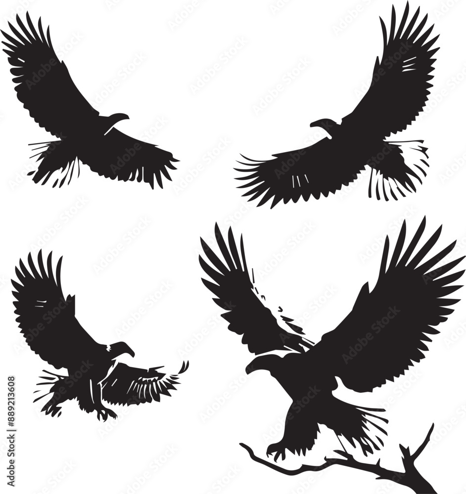 Obraz premium eagle silhouette, eagle icon, eagle vector, 