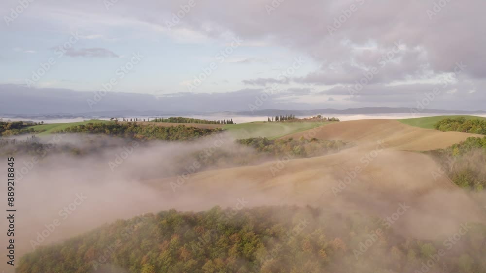 Aerial view of rolling hills and foggy countryside with cypress trees and a road, Asciano, Tuscany, Italy. Aerial view of rolling hills and foggy countryside with cypress trees and a road, Asciano, Tuscany, Italy.