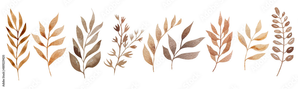 Brown leaves isolated in simple boho style isolated. Watercolor horizontal set of floral elements hand painted. Autumn dried leaves Brown leaves isolated in simple boho style isolated. Watercolor horizontal set of floral elements hand painted. Autumn dried leaves