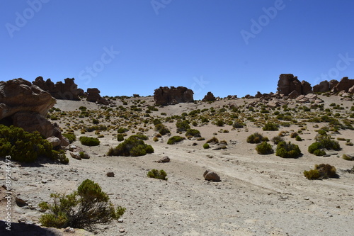 Paisagem do deserto com céu azul