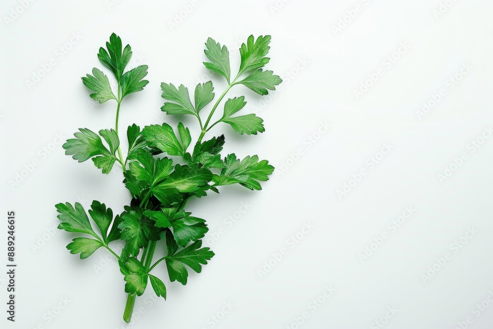 A collection of fresh green leaves arranged on a clean white surface A collection of fresh green leaves arranged on a clean white surface