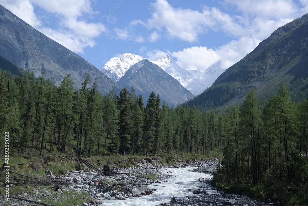 The mountain river flows through a valley with dense coniferous forest on the slopes under the blue sky with white clouds. The river is in the foreground, and the forest is in the background. The mountain river flows through a valley with dense coniferous forest on the slopes under the blue sky with white clouds. The river is in the foreground, and the forest is in the background.