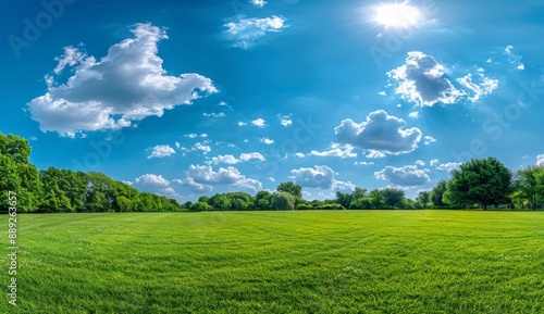 This is a beautiful large format image of a manicured country lawn surrounded by trees and shrubs on a bright summer's day.