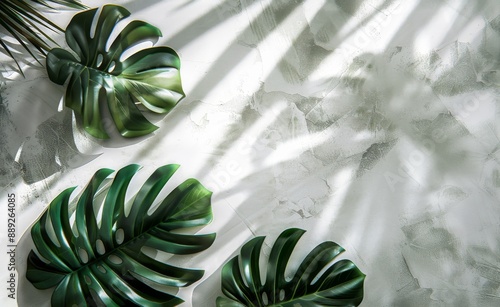 Shadows cast by tropical leaves over a grey table on a white background