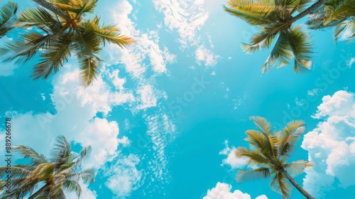 The background of the image features two nice palm trees against a blue sky, surrounded by a beautiful tropical background.