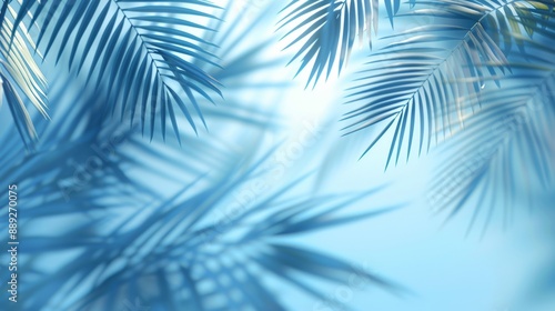 An image of tropical palm leaves on a blue background with minimal nature summer styled flat lay with free copy space for an inscription